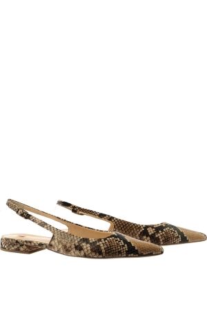 Högl Högl camel Camel