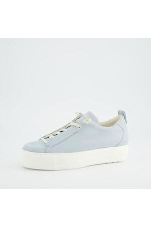 Paul Green Paul Green BLAU BLAU