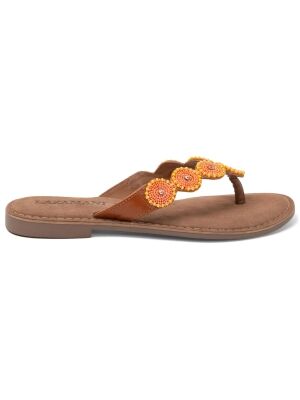 Lazamani 75453 apricot Lazamani 75453 apricot