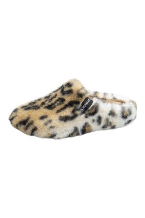 Verbenas Verbenas York Fur Leo 