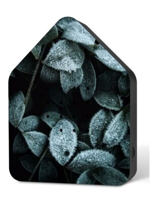 Zwitscherbox Zwitscherbox Frosty Leaves 11ZBX0302002 Zwitscherbox Zwitscherbox Frosty Leaves 11ZBX0302002
